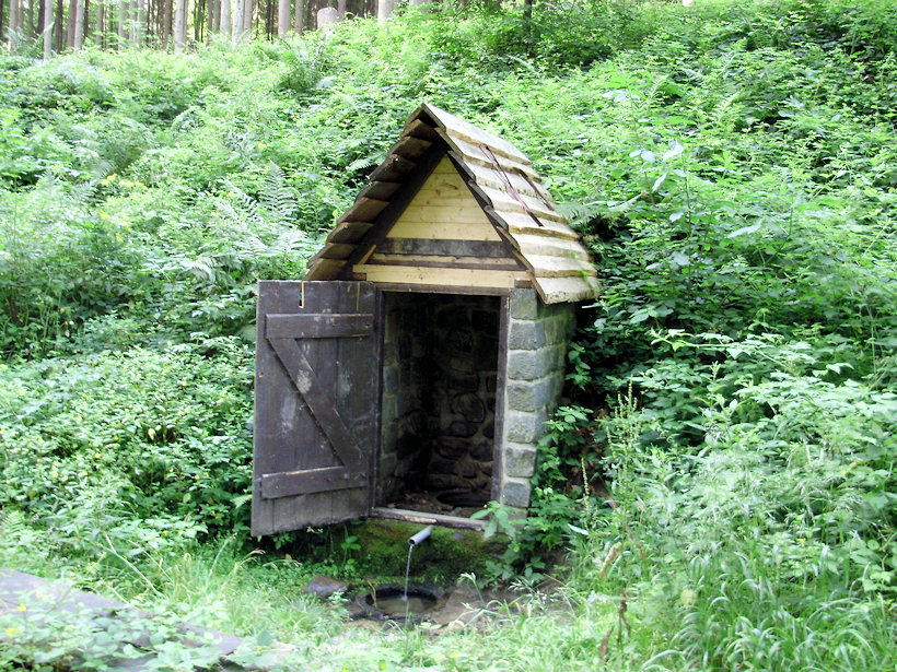 studánka U Jezírek (1632) - červenec 2009