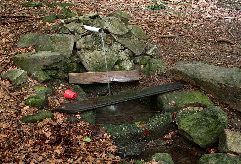 studánka Mojena (1645) - červenec 2009