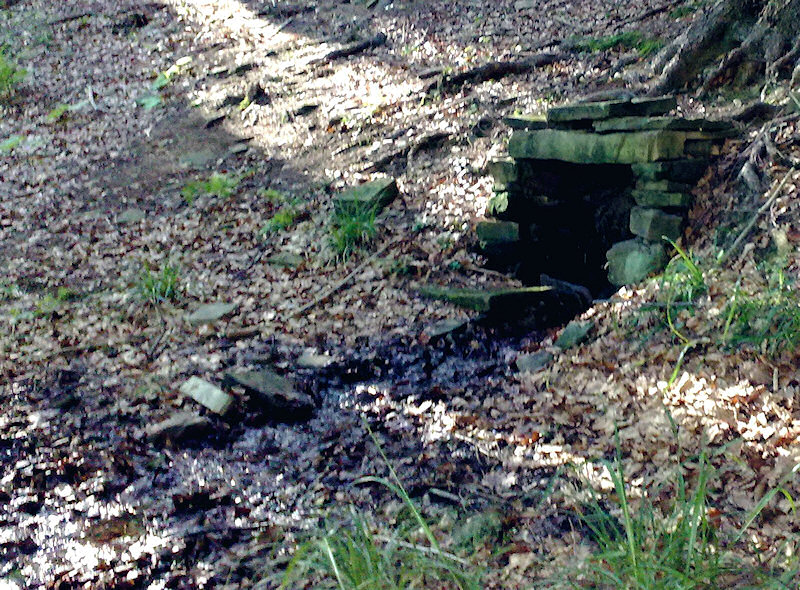 studánka Vaculov (1651) - červenec 2009