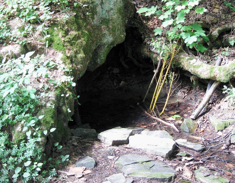 pramen Pod javorem (1652) - červenec 2009