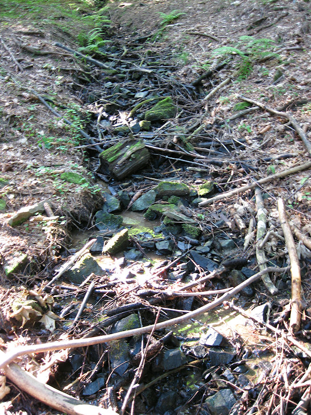 prameniště Škaredý (1653) - červenec 2009