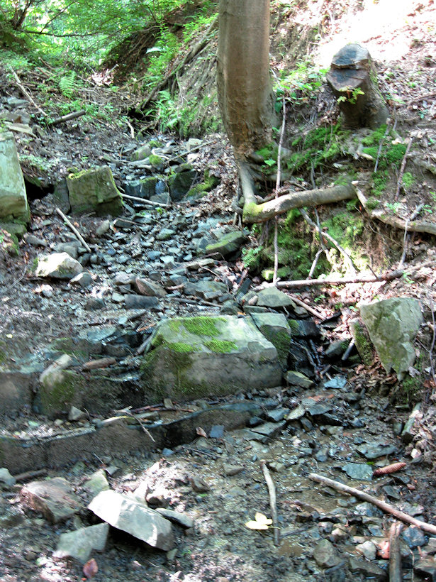 prameniště bez jména (1654) - červenec 2009