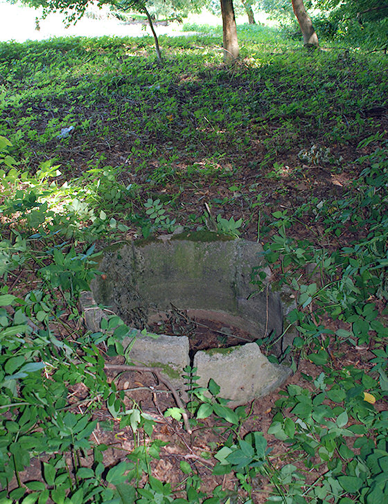 studánka U vrby (1660) - srpen 2009