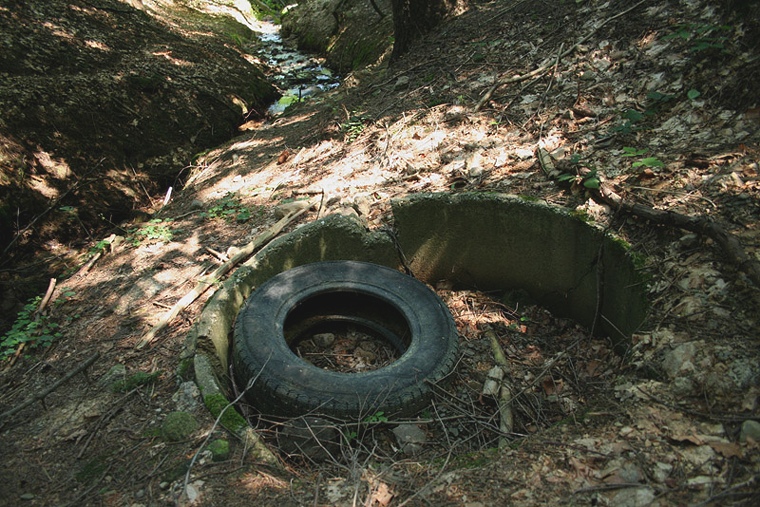 studánka Zapomenutá (1667) - srpen 2009