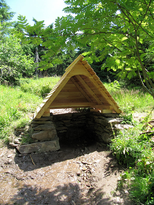 studánka Pod Velkou Deštnou (1686) - červenec 2019