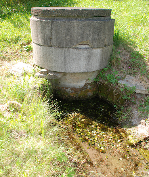 studánka Luční (1717) - srpen 2009