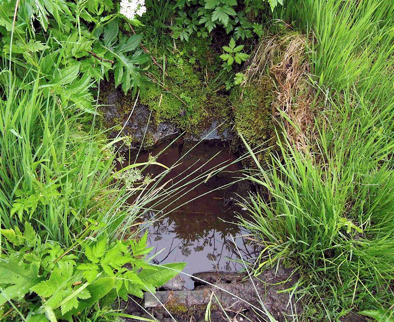 studánka Sagitta (1720) - srpen 2009