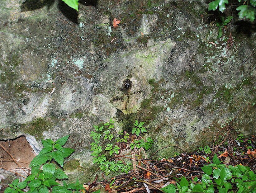 jiný vodní zdroj Punčocha (1758) - srpen 2009