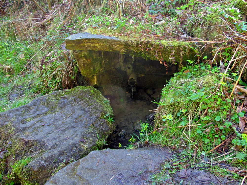 studánka Pod skalami (1826) - duben 2025