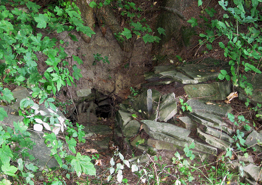 studánka Vysychající (1849) - září 2009