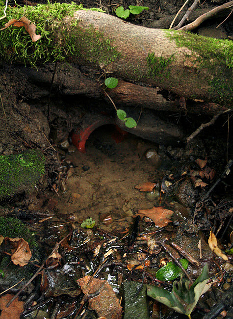 studánka Po Dílcem (1862) - září 2009