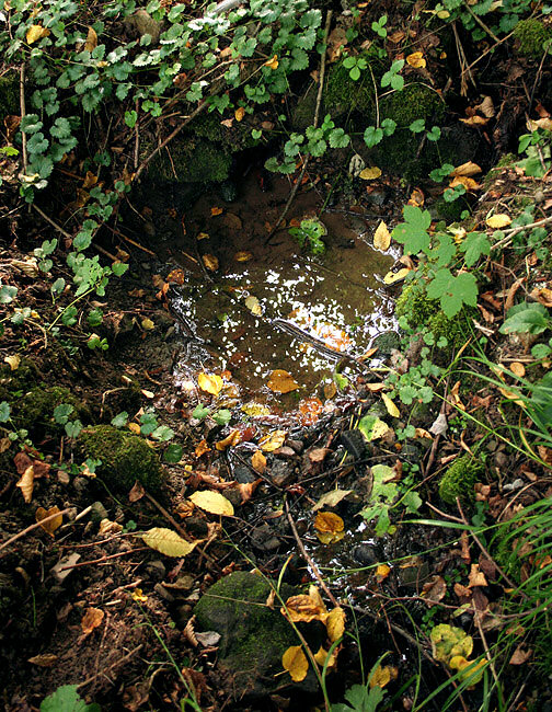 studánka Pod Lípím (1865) - září 2009
