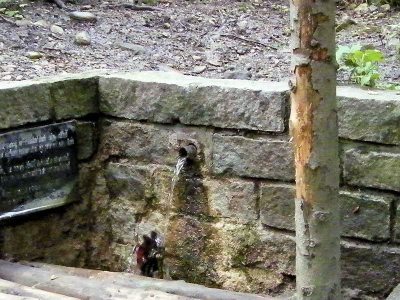 Duchnová studánka (1872) - září 2009