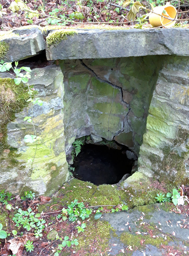 studánka Na Blatném potoce (1892) - květen 2020