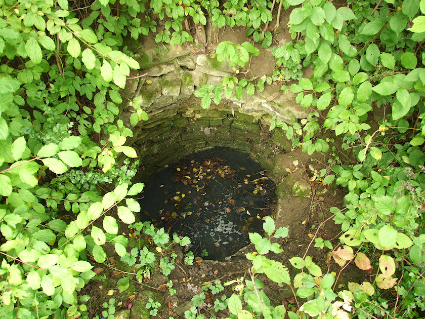 studánka u Panny Marie (1912) - září 2009