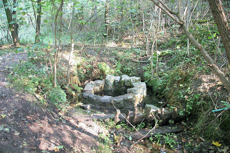 Lesní studánka (1919) - září 2009
