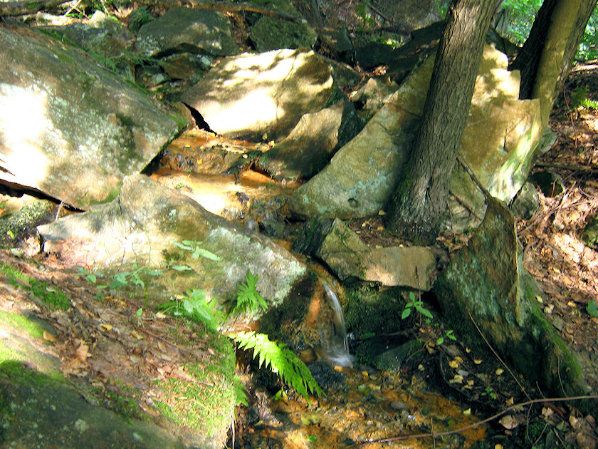 prameniště Na rozcestí (1923) - září 2009