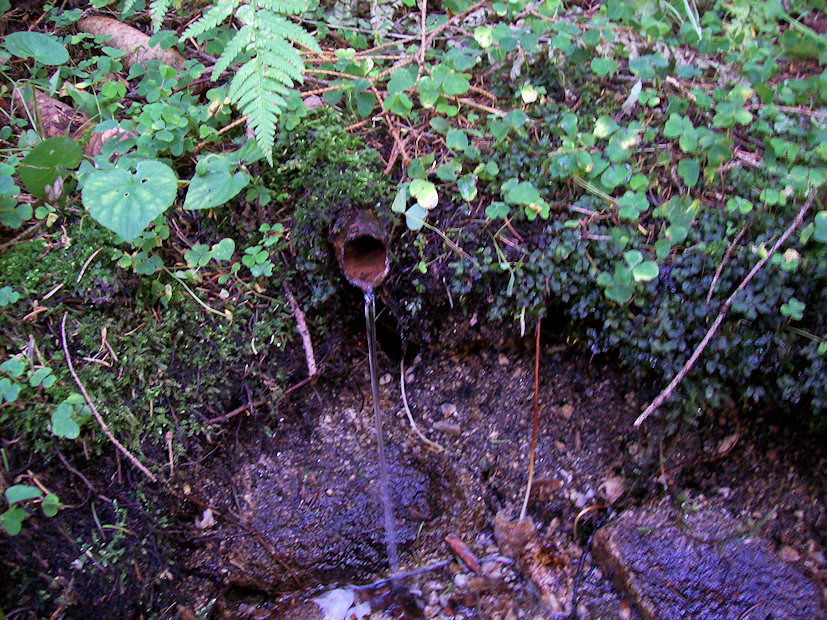 studánka Kopanina (1933) - září 2009