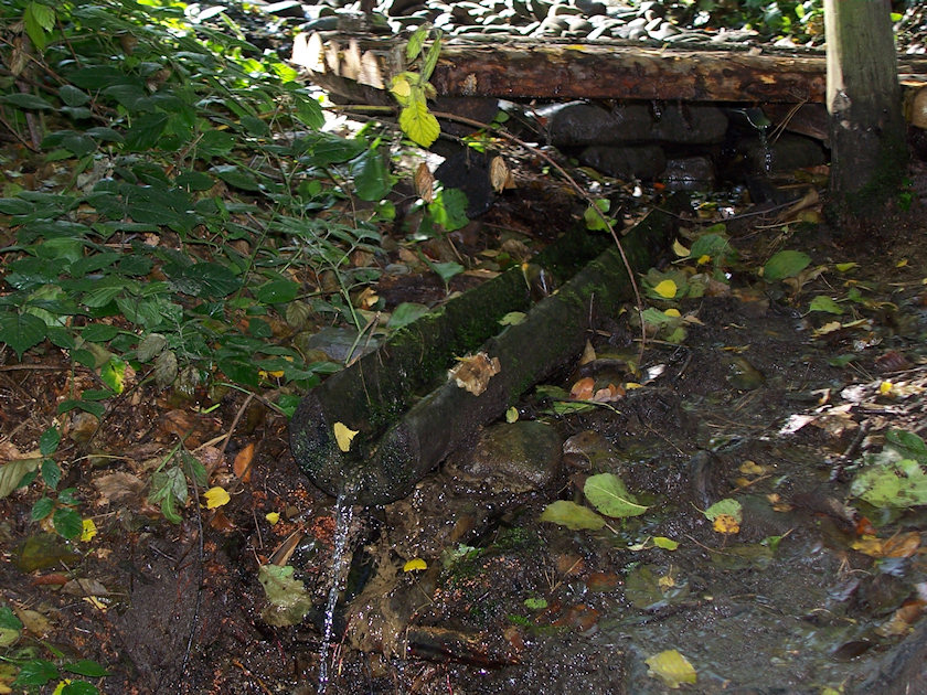 studánka Ryninka (2022) - říjen 2009