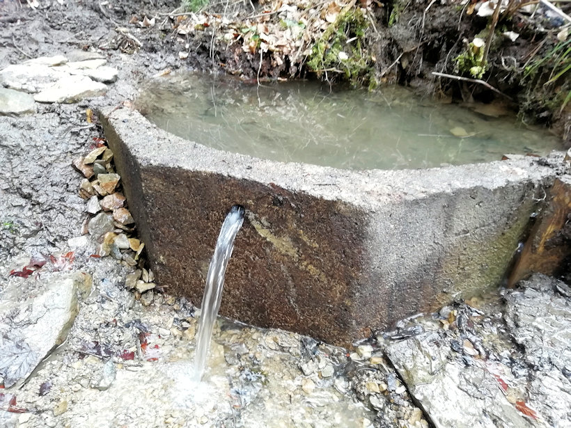 studánka Včelařský (2028) - březen 2021