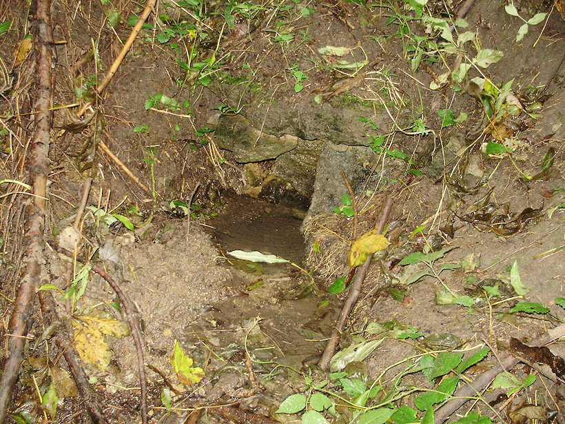 pramen Pod cestou (2034) - říjen 2009