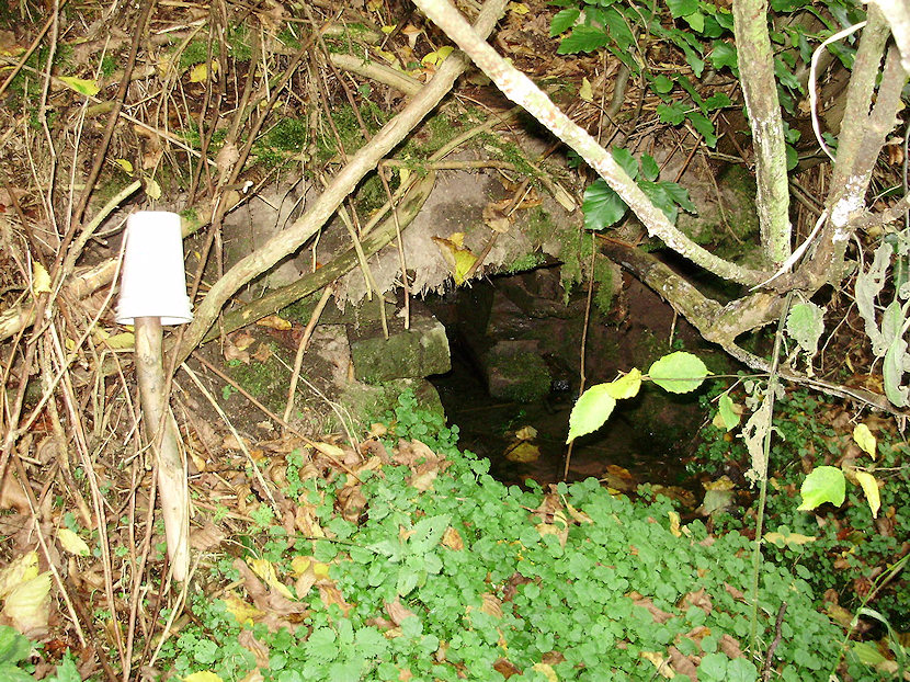 studánka Železniční (2038) - říjen 2009