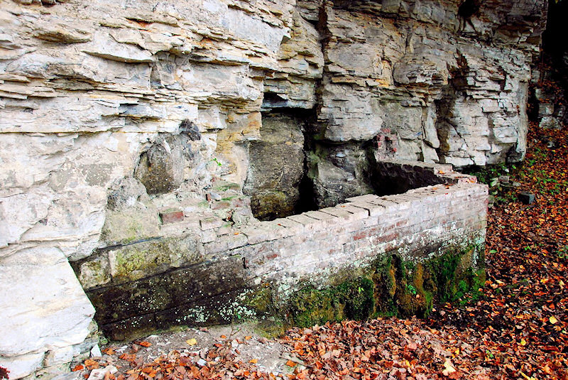 studánka U sta schodů (2050) - říjen 2009