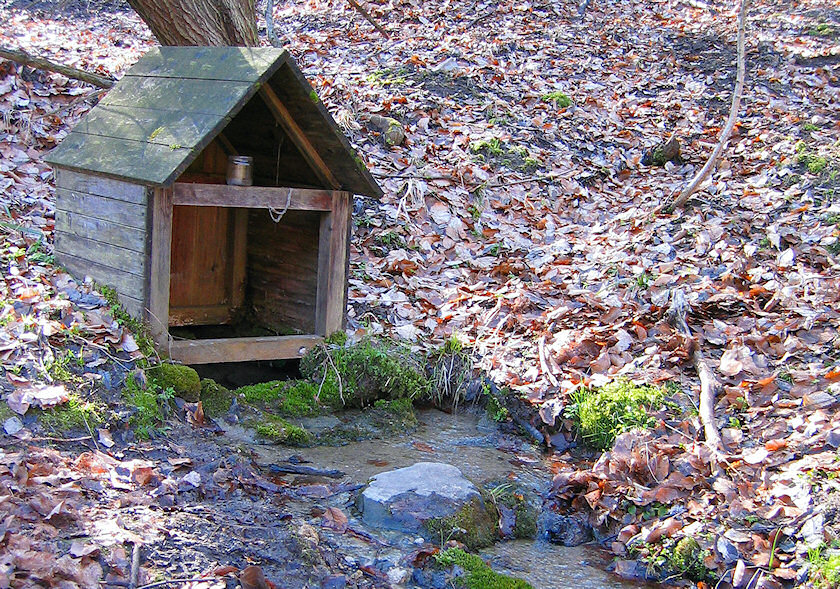studánka Kamenné potoky (Smutný žleb) (2073) - říjen 2009