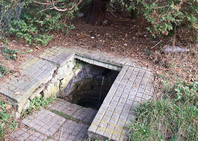 studánka Ve staré Lipůvce (2080) - říjen 2009