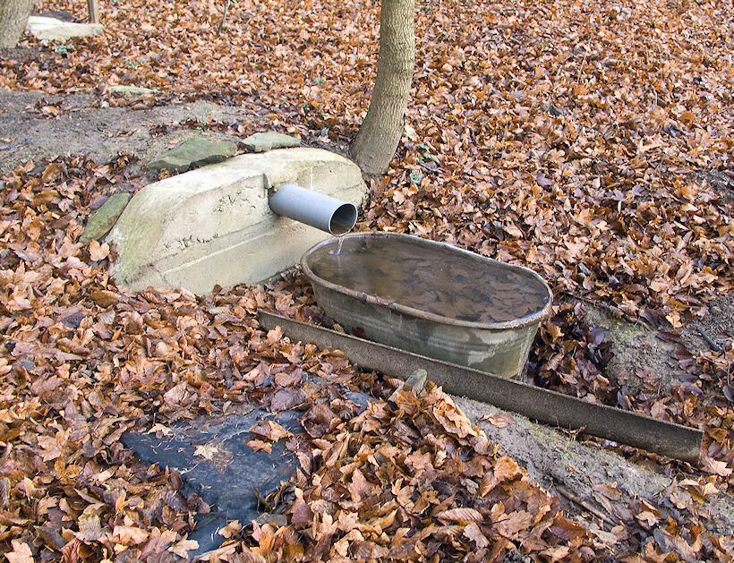 Včelí studánka (2081) - říjen 2009