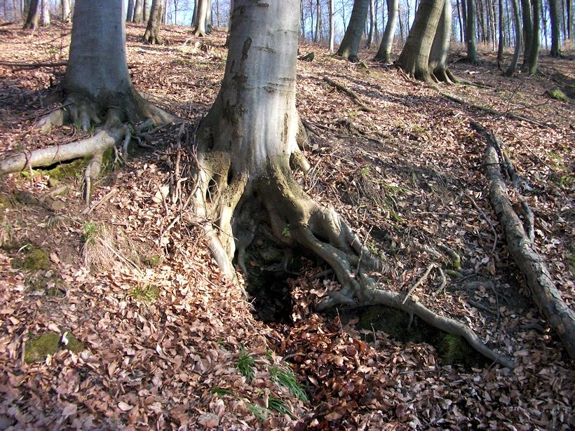 Vlčí studánka (2082) - datum neznámé