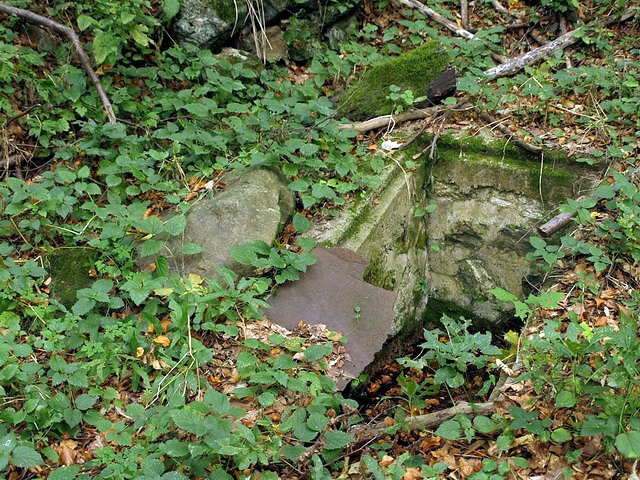 studánka bez jména (2090) - říjen 2009