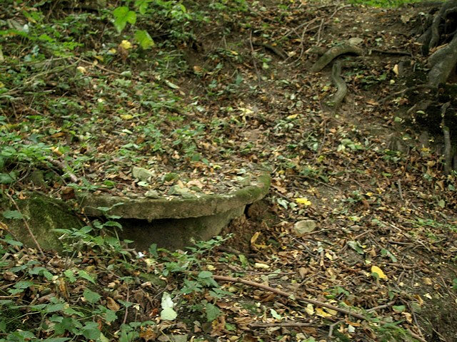 studánka bez jména (2092) - říjen 2009