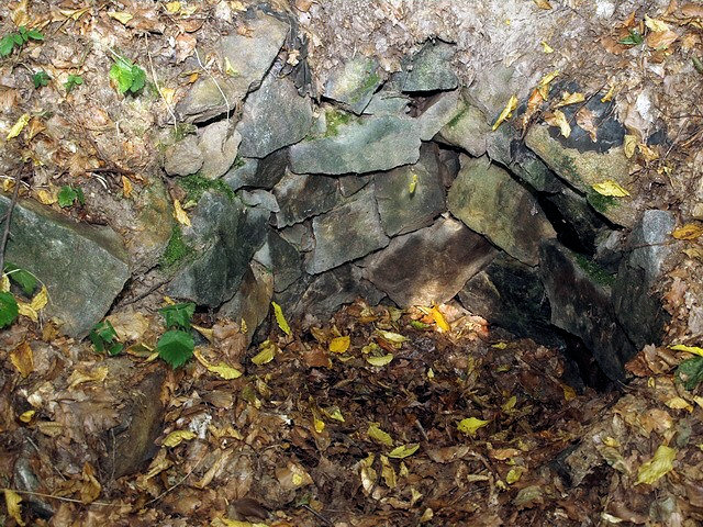 studánka bez jména (2096) - říjen 2009
