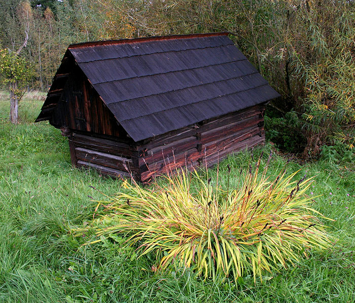 studánka Haltýř (2103) - říjen 2009