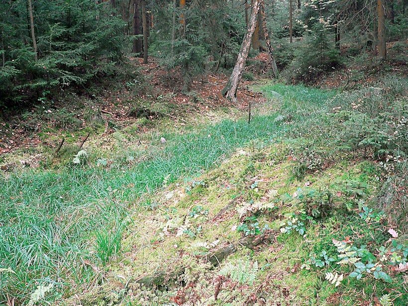 prameniště bez jména (2109) - říjen 2009