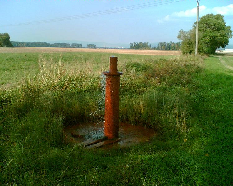 vrt Černovírské slatiniště 2 (2117) - říjen 2009