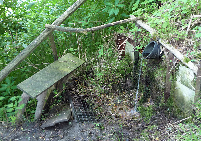 studánka bez jména (2123) - říjen 2009