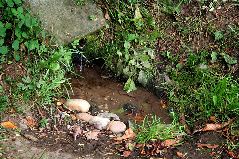 studánka U Eremita (2126) - říjen 2009
