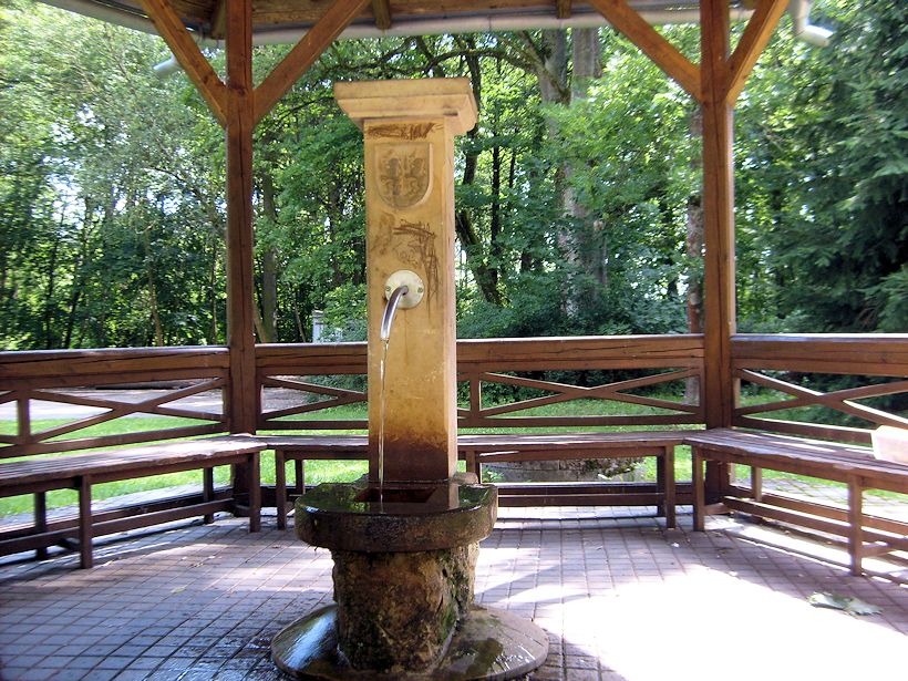 pramen Bažantnice (2187) - říjen 2009