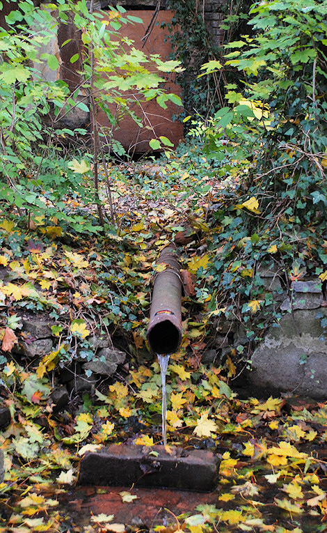 studánka Hajnovka (2194) - říjen 2009