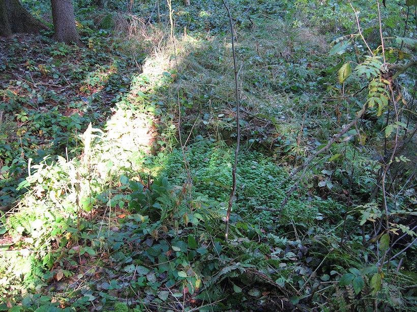 studánka Bartačina (2195) - říjen 2009