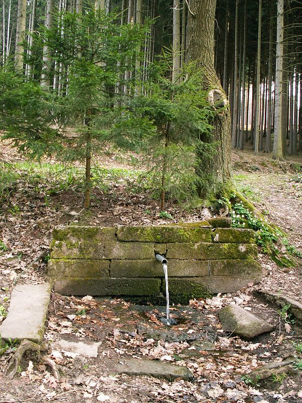 studánka bez jména (2205) - říjen 2009