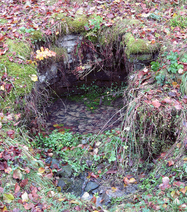 studna Tisové (2219) - říjen 2009