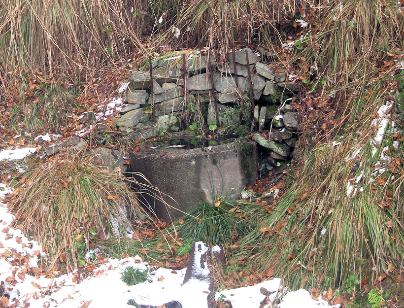 studánka Doktorská (2285) - listopad 2009