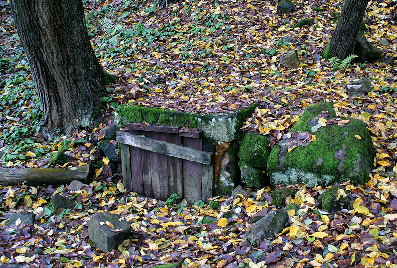 studánka Malenisko (2301) - listopad 2009