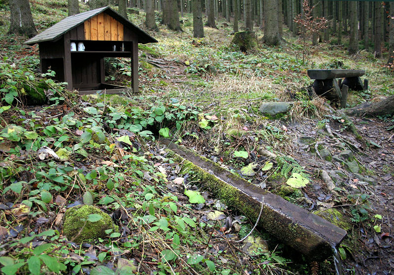 studánka Ondráška (2335) - listopad 2009