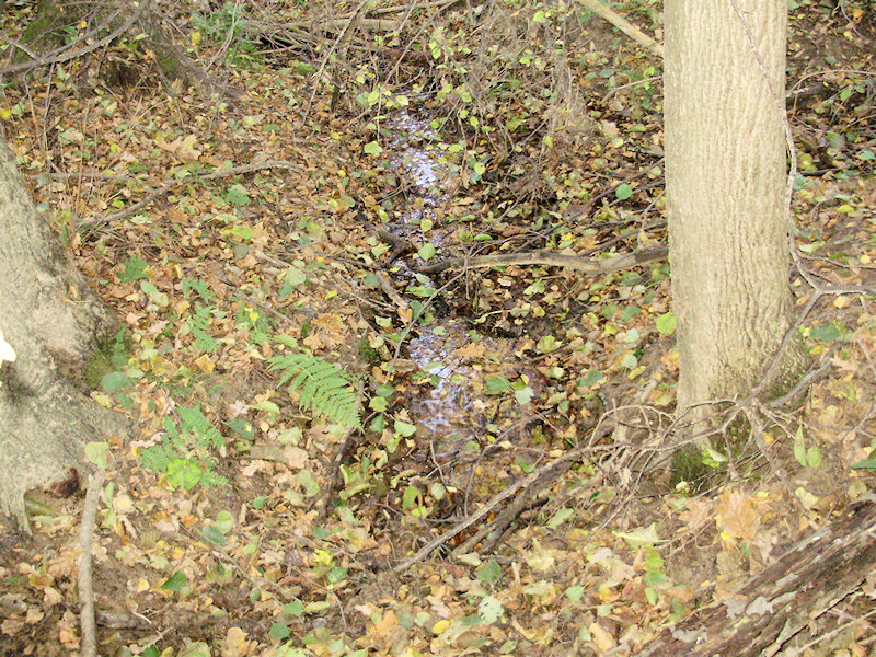 prameniště bez jména (2365) - listopad 2009