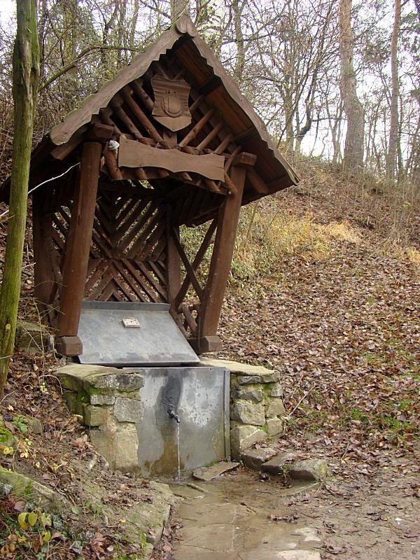 studánka Pod Romenovem (2381) - listopad 2009