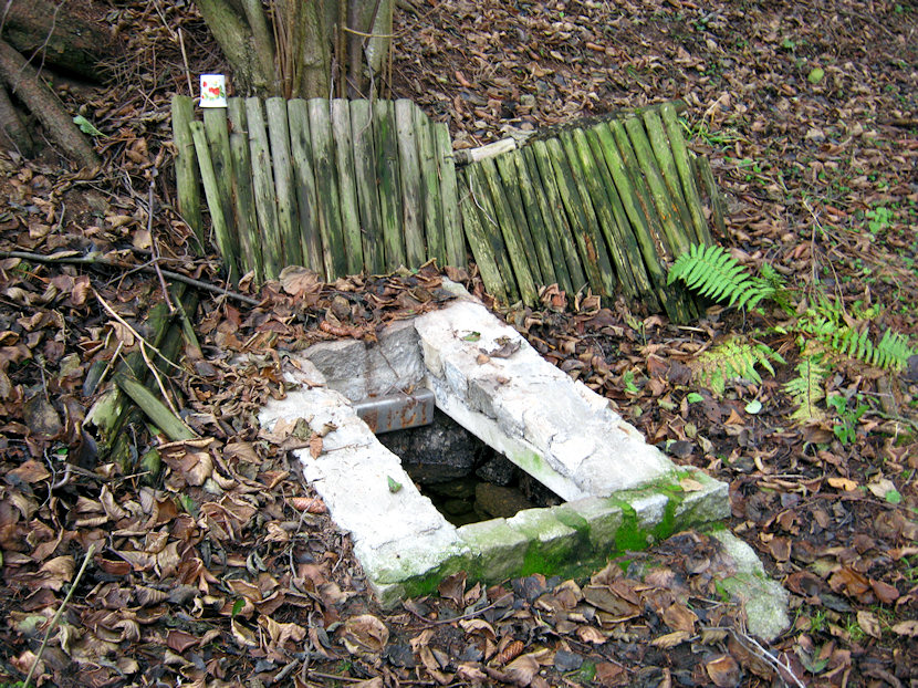 studánka Klučov (2473) - prosinec 2009